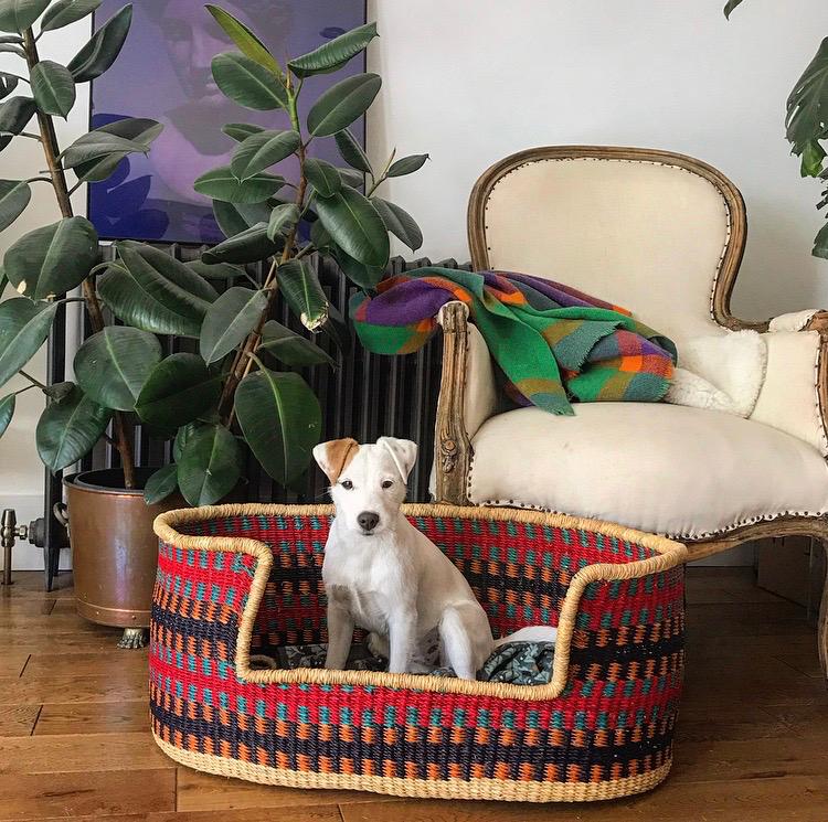 16 WOVEN PET BASKETS YOUR CATS AND DOGS WILL LOVE FOREVER